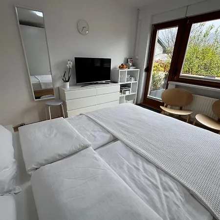 Anmari & * ラドヴリツァ