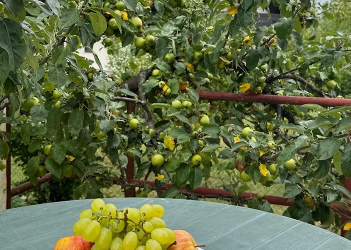 Appartement Anmari & *